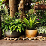 Jak si vyrobit květináč do zahrady vlastníma rukama: mistrovská tří...